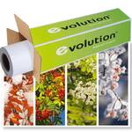 Бумага EVOLUTION  Frontprint Backlit Film 215mic 1.067х50 м  втулка 3 / 76мм  (ex.450L97030)