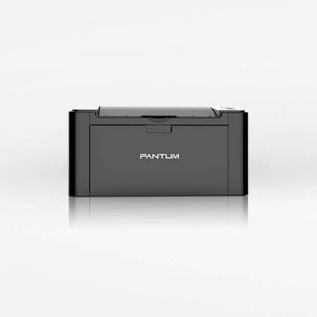Принтер лазерный Pantum P2500NW (черно-белая печать, A4, 22 стр., 1200x1200 dpi, 128Mb, USB2.0, сетевой, WiFi, черный)